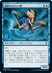 MTG マジック：ザ・ギャザリング 遍歴のカゲロウ獣 コモン 時のらせんリマスター TSR-066 日本語版 クリーチャー 青