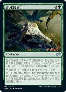 MTG マジック：ザ・ギャザリング 這い回る寄生 アンコモン イニストラード：真紅の契り VOW-193 日本語版 エンチャント 緑