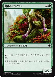 MTG マジック：ザ・ギャザリング 開花のドライアド コモン イクサラン XLN-178