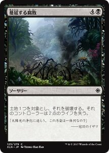 MTG マジック：ザ・ギャザリング 蔓延する腐敗 コモン イクサラン XLN-125