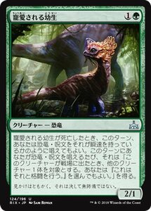 MTG マジック：ザ・ギャザリング 寵愛される幼生 アンコモン イクサランの相克 RIX-124