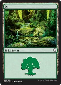 MTG マジック：ザ・ギャザリング 森 基本土地 ドミナリア DOM-269