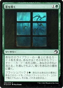 MTG マジック：ザ・ギャザリング 窓を叩く フォイル イニストラード：真夜中の狩り MID-201 日本語版 ソーサリー 緑