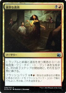 MTG マジック：ザ・ギャザリング 貪欲な食欲 フォイル イニストラード：真夜中の狩り MID-228 日本語版 ソーサリー 多色