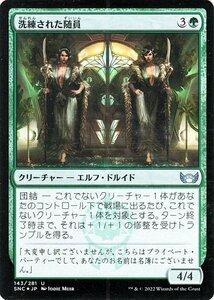 MTG マジック：ザ・ギャザリング 洗練された随員 Foil フォイル セットブースター開封 ニューカペナの街角 SNC-143 日本語版 緑