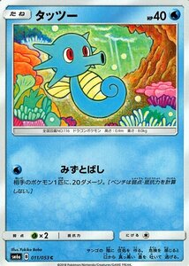 ポケモンカードゲーム SM6+ 拡張強化パック「ドラゴンストーム」 タッツー C