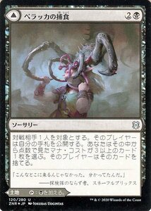 MTG ペラッカの捕食/ペラッカの洞窟 フォイル・アンコモン ゼンディカーの夜明け ZNR-F120 ギャザ マジック・ザ・ギャザリング 日本語版