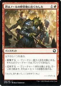 MTG マジック：ザ・ギャザリング 君はノールの野営地に出くわした フォイル フォーゴトン・レルム探訪 AFR-F168 ダンジョン&ドラゴンズ