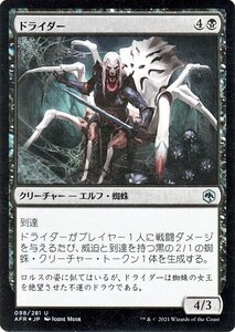 MTG マジック：ザ・ギャザリング ドライダー フォイル フォーゴトン・レルム探訪 AFR-F098 D&D ダンジョン&ドラゴンズ 日本語 黒