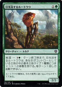 MTG マジック：ザ・ギャザリング 日光浴するルートワラ フォイル/セットブースター開封 団結のドミナリア DMU-181 日本語版 緑