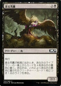 MTG マジック：ザ・ギャザリング 貪る禿鷹 フォイル・コモン 基本セット2020 M20-F102 日本語版 クリーチャー 黒