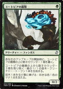 MTG マジック：ザ・ギャザリング ユートピアの菌類 アンコモン 時のらせんリマスター TSR-244 日本語版 クリーチャー 緑