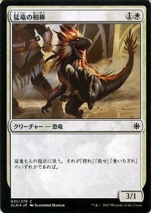 MTG マジック：ザ・ギャザリング 猛竜の相棒 FOIL イクサラン XLN-F031