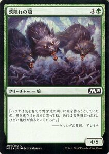 MTG マジック：ザ・ギャザリング 茨隠れの狼 フォイル・コモン 基本セット2019 M19-F204 日本語版 クリーチャー 緑