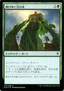 MTG マジック：ザ・ギャザリング 伸びゆく豆の木 フォイル・コモン エルドレインの王権 ELD F178 日本語版 エンチャント 緑