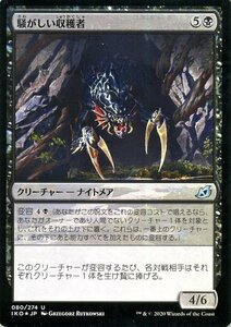 MTG マジック：ザ・ギャザリング 騒がしい収穫者 フォイル・アンコモン イコリア：巨獣の棲処 IKO-F080 日本語版 クリーチャー 黒