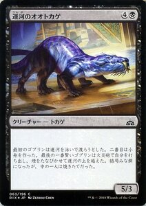 MTG マジック：ザ・ギャザリング 運河のオオトカゲ Foil イクサランの相克 RIX-F063