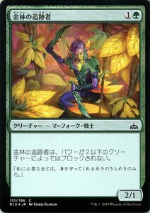 MTG マジック：ザ・ギャザリング 金林の追跡者 Foil イクサランの相克 RIX-F131