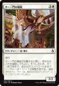 MTG マジック：ザ・ギャザリング ター一門の精鋭 コモン アモンケット AKH-031