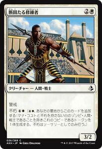 MTG マジック：ザ・ギャザリング 断固たる修練者 コモン アモンケット AKH-036