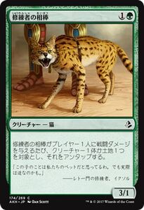 MTG マジック：ザ・ギャザリング 修練者の相棒 コモン アモンケット AKH-174