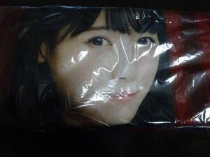 乃木坂46　西野七瀬　ブランケット　開封品　希少（管理：188）（10月12日）