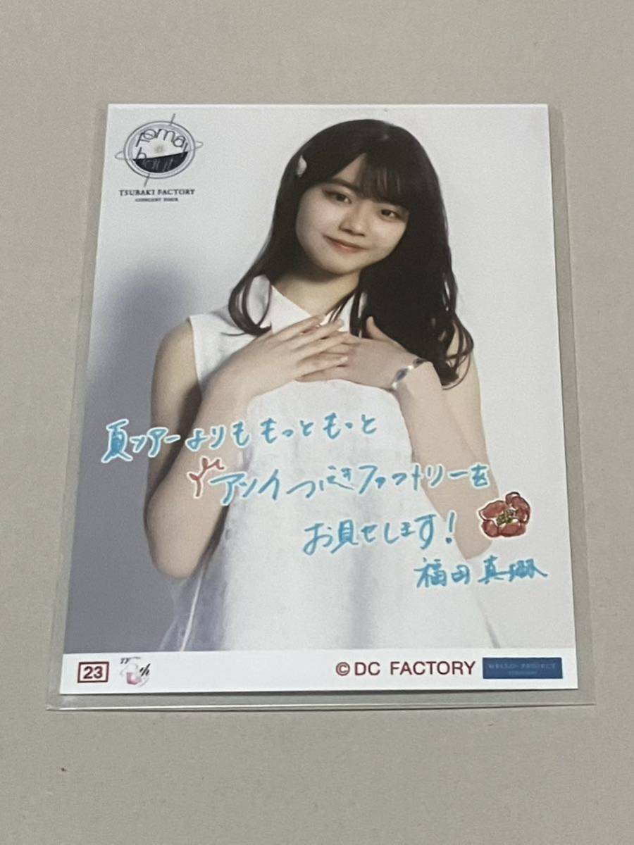 ヤフオク! -つばきファクトリーの中古品・新品・未使用品一覧 安住紳一郎アナ つばきファクトリー 山岸 小野田 秋山 新沼 岸本 谷本 バラ可! アイドル