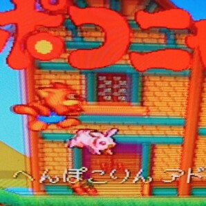 ポコニャン