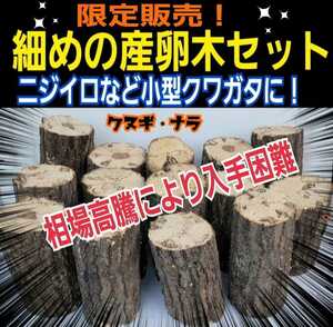 細めの産卵木【5本セット】クヌギ・ナラ☆ニジイロクワガタやコクワなど小型種に最適です！直径7～10センチ☆長さ約13～14センチ☆入手困難