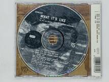 即決CD WHAT IT'S LIKE / EVERLAST / TOMMY BOY / Z06_画像2