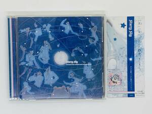 即決CD Starry sky ボカロ曲歌ってみた限定コミュニティ / 同人音楽 とぴ 佳仙 だるま屋 さちっぷ プリクマー 柿チョコ グル美 帯付き X04