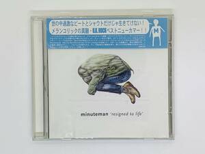 即決CD minuteman resigned to life / gave you all the blame big boy words fail / アルバム N04