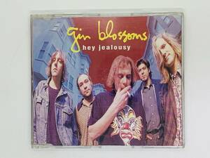 即決CD Gin Blossoms Hey jealousy / CAJUN SONG JUST SOUTH OF NOWHERE ANGELS TONIGHT / 激レア M05