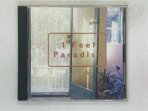 即決CD I Feel Paradise / アイ・フィール・パラダイス / 部屋の中は楽園 / アルバム レア 希少 セット買いお得 I01