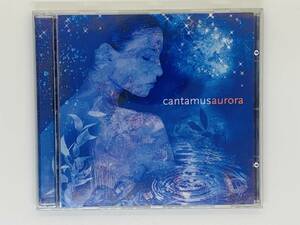 即決CD cantamus aurora / Aurora Summer Song Stay A While El Viaje Astralucia / アルバム セット買いお得 Z17