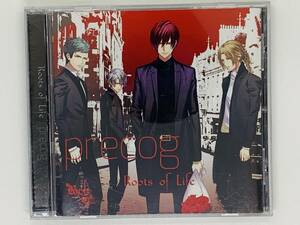  быстрое решение CD DYNAMIC CHORD Roots of Life / precog / лес . гарантия . Taro / комплект покупка выгода M04