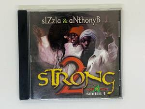 即決CD 2 STRONG sizzla & anthony b / FOOD OF THOUGHT DAMAGE LOVELY LIFE PRAISE THE MAN / アルバム Z16