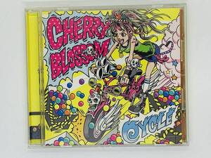 即決CD 家庭教師ヒットマンREBORN! / CHERRYBLOSSOM CYCLE / 紙飛行機 BIG DEAL Y20