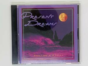 即決CD PRESENT DREAMS / Bliss Abyss Waterfalls Mayan Peace Lost in the Sauce Edge of Time / レア 希少 G05