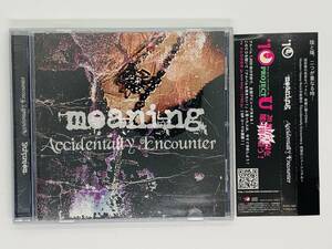 即決CD Accidentally Encounter / Meaning / 帯付き レア 希少 セット買いお得 L06