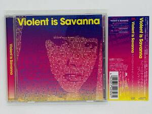 即決CD Violent is Savanna / アワイロサクラチル リフレインチューマー / 帯付き K04