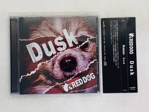 即決CD RED DOG 2nd Mini Album『Dusk』 / レッドドッグ 帯付き 激レア 希少 セット買いお得 J03