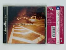 即決CD shredhead melting pot / シュレッドヘッド / PICP-1117 / infomania the trick question fish called me 帯付き アルバム M06_画像1