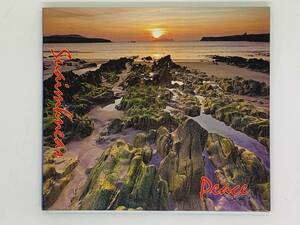 即決CD SUAIMHNEAS - PEACE / Paul Kirk and Friends / COUNTY KERRY PAUL KIRK / アルバム デジパック仕様 激レア 希少 T02