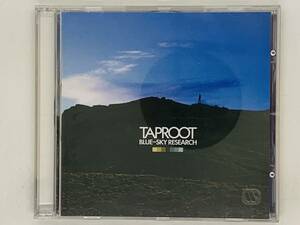 即決CD TAPROOT BLUE SKY RESEARCH / タップルート ブルー・スカイ・リサーチ / I Will Not Fall For You Violent Seas / アルバム Y33