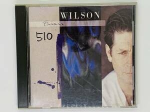 即決CD BRIAN WILSON / ブライアン・ウィルソン / ビーチ・ボーイズ / LOVE AND MERCY MELT AWAY RIO GRANDE アルバム Z50