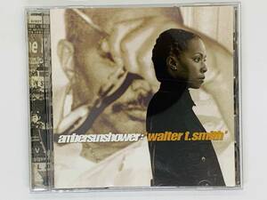 即決CD ambersunshower walter t.smith / LOOK AROUND MY WINDOW VOICES INSIDE MY HEAD / アルバム セット買いお得 Z10