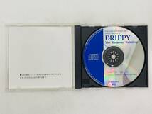 即決CD DRIPPY The Runaway Raindrop / CHAPTER TWELVE / アルバム セット買いお得 K01_画像3