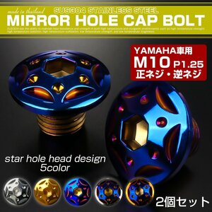 ミラーホールカバーボルト キャップ M10×10mm P1.25 正ネジ 逆ネジ 2個セット ヤマハ車用 スターホールヘッド SUS304 焼きチタン TH0185