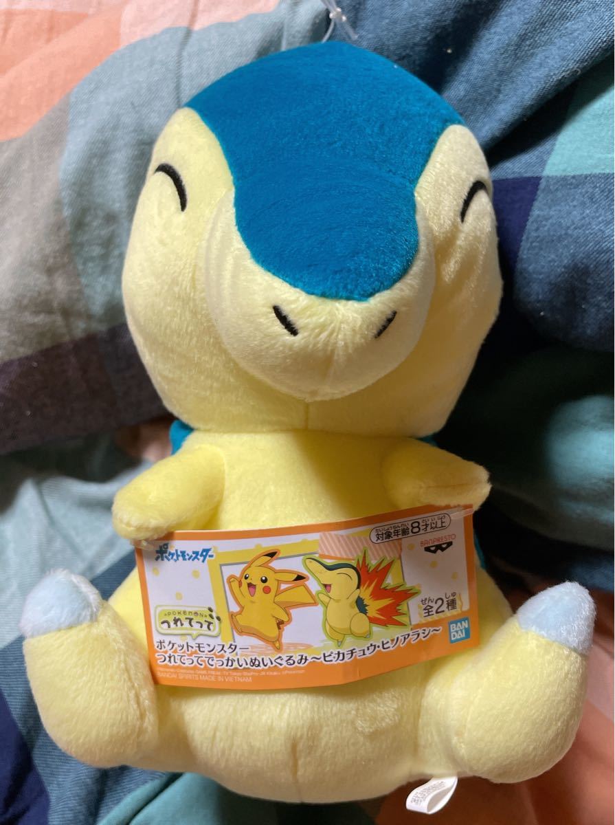 55%以上節約 ポケモンセンター 記念ドール ヒノアラシ アニバーサリー